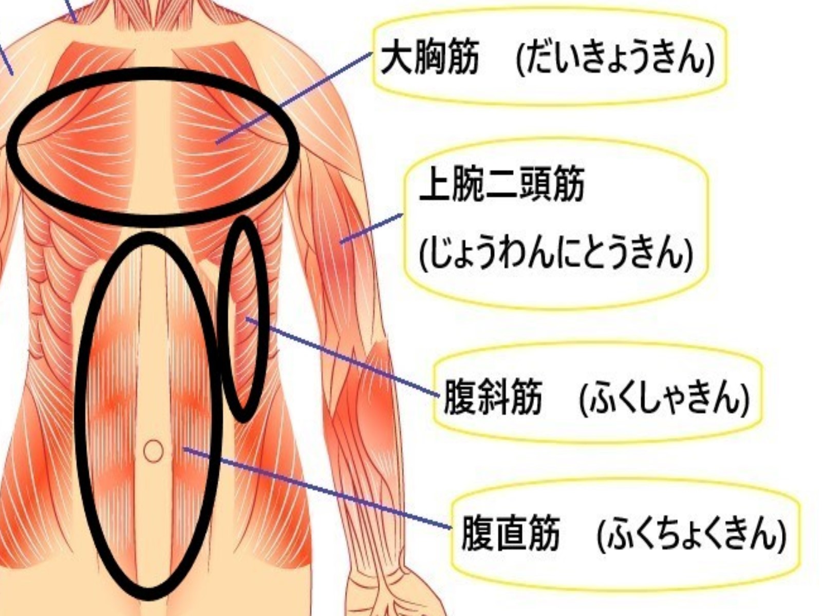 ファーストステージ